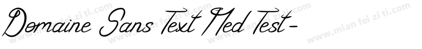 Domaine Sans Text Med Test字体转换